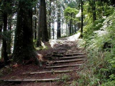 秋葉山本宮秋葉神社 表参道