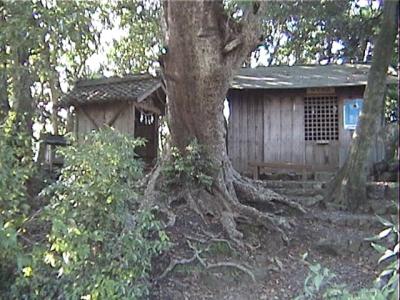 社宮神社 本殿