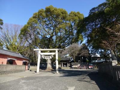 日吉浅間神社 鳥居