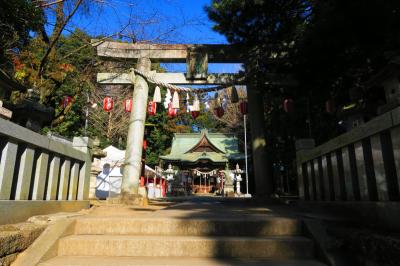 安房神社 鳥居と拝殿