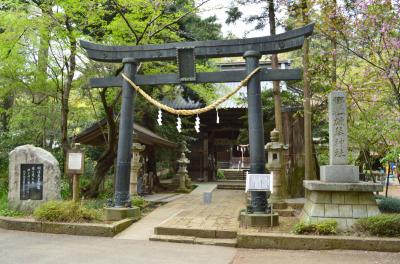 雄琴神社 拝殿