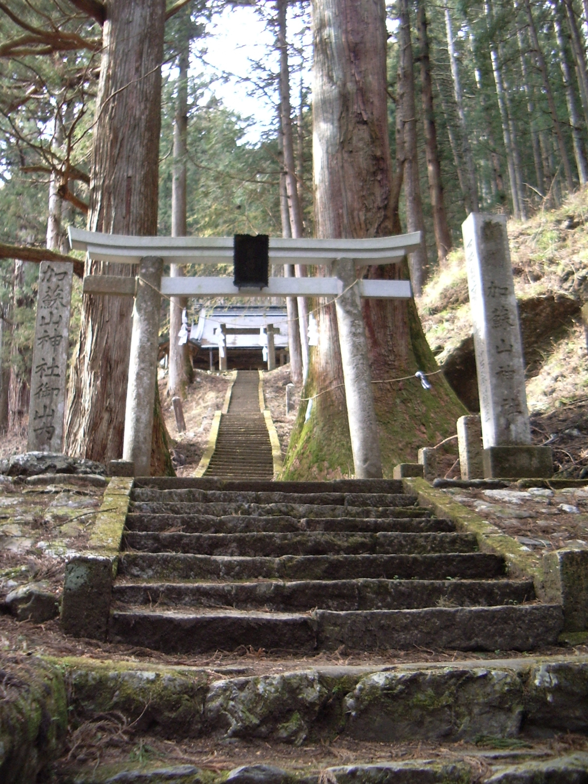 鳥居と拝殿