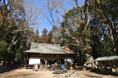 中村八幡宮 拝殿