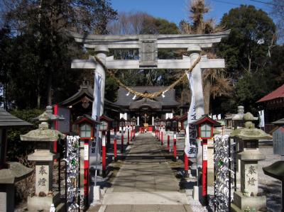 薬師寺八幡宮 鳥居と拝殿