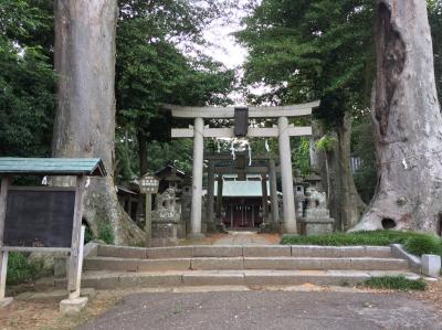 藤岡神社 鳥居と拝殿