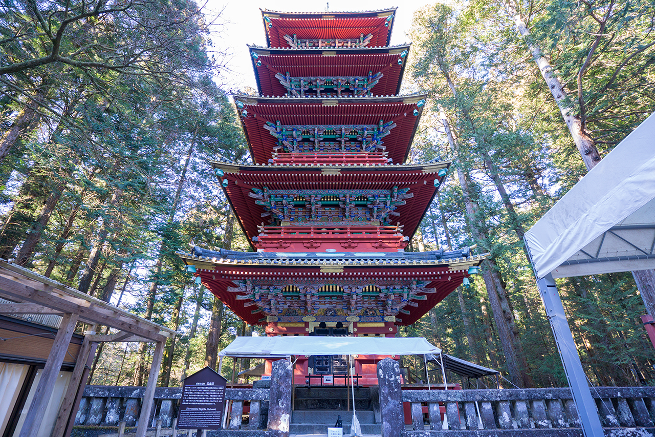見上げた五重塔