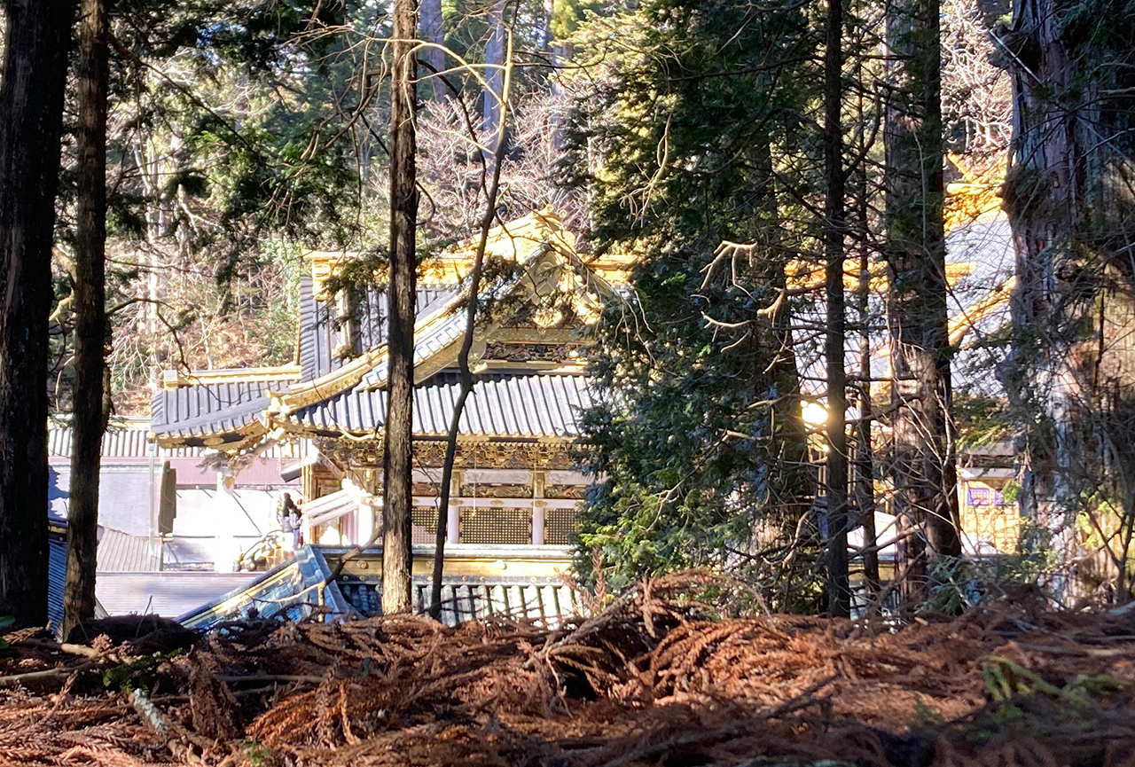 山の上からみた拝殿
