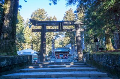 日光東照宮 参道と石鳥居