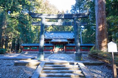 日光東照宮 鳥居と御仮殿