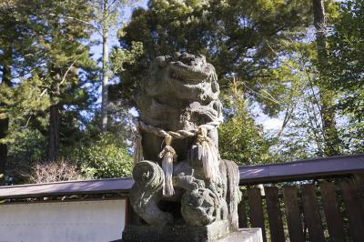 蒲生神社 阿形狛犬