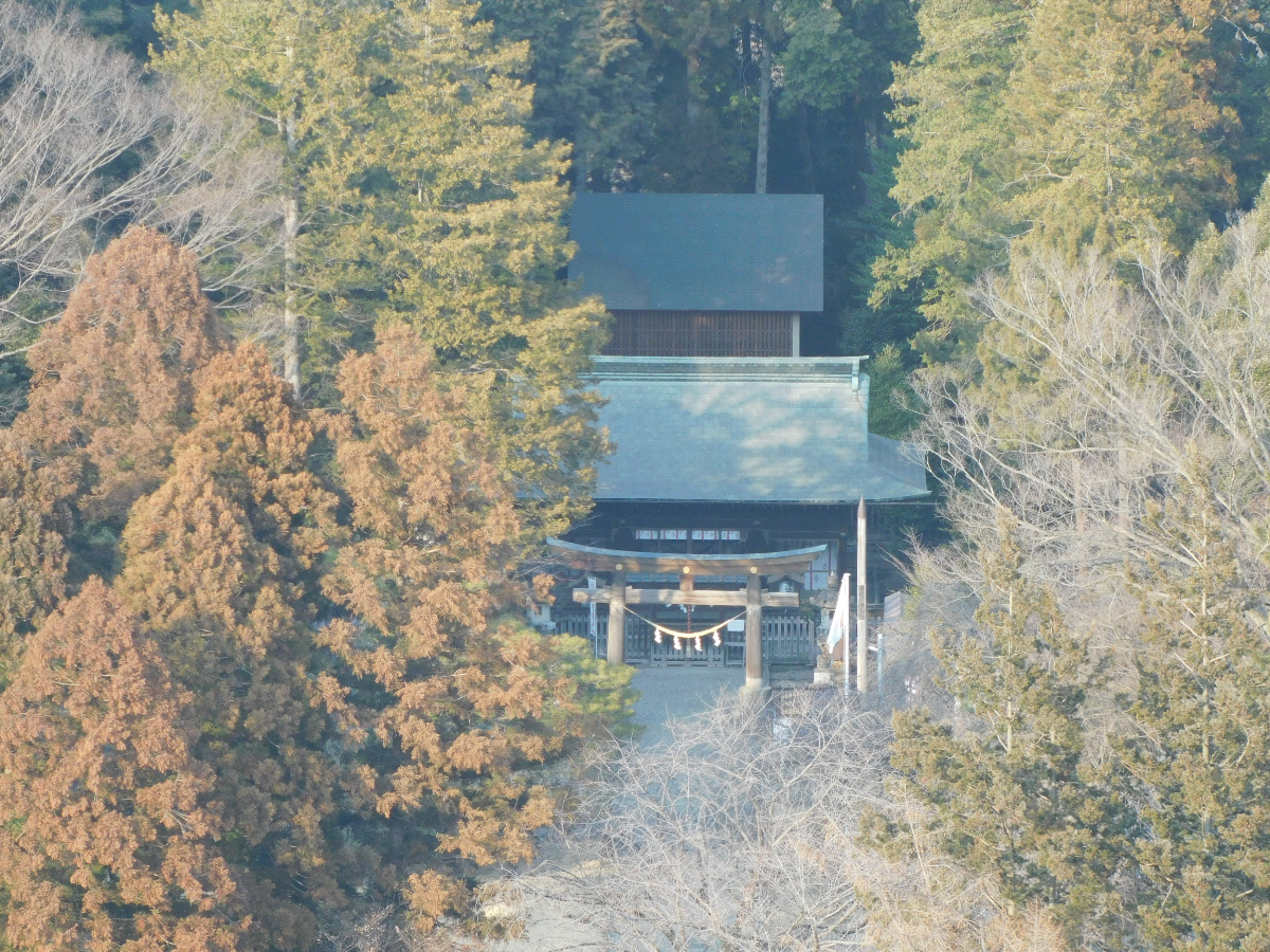 鳥居・拝殿・本殿