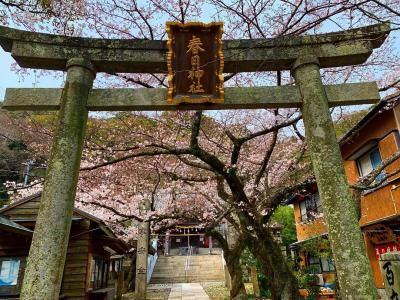 春日神社 鳥居