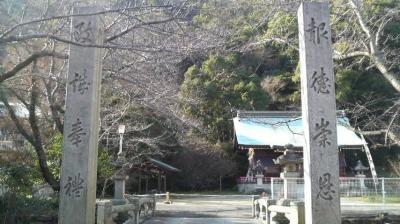 國瑞彦神社 境内と拝殿