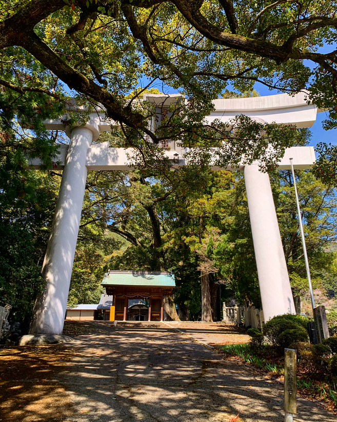 鳥居と社殿