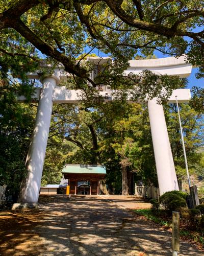 宇佐八幡神社 鳥居と社殿