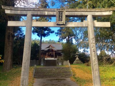 伊射奈美神社 鳥居と社殿