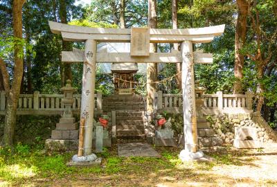 室比賣神社 鳥居と社殿