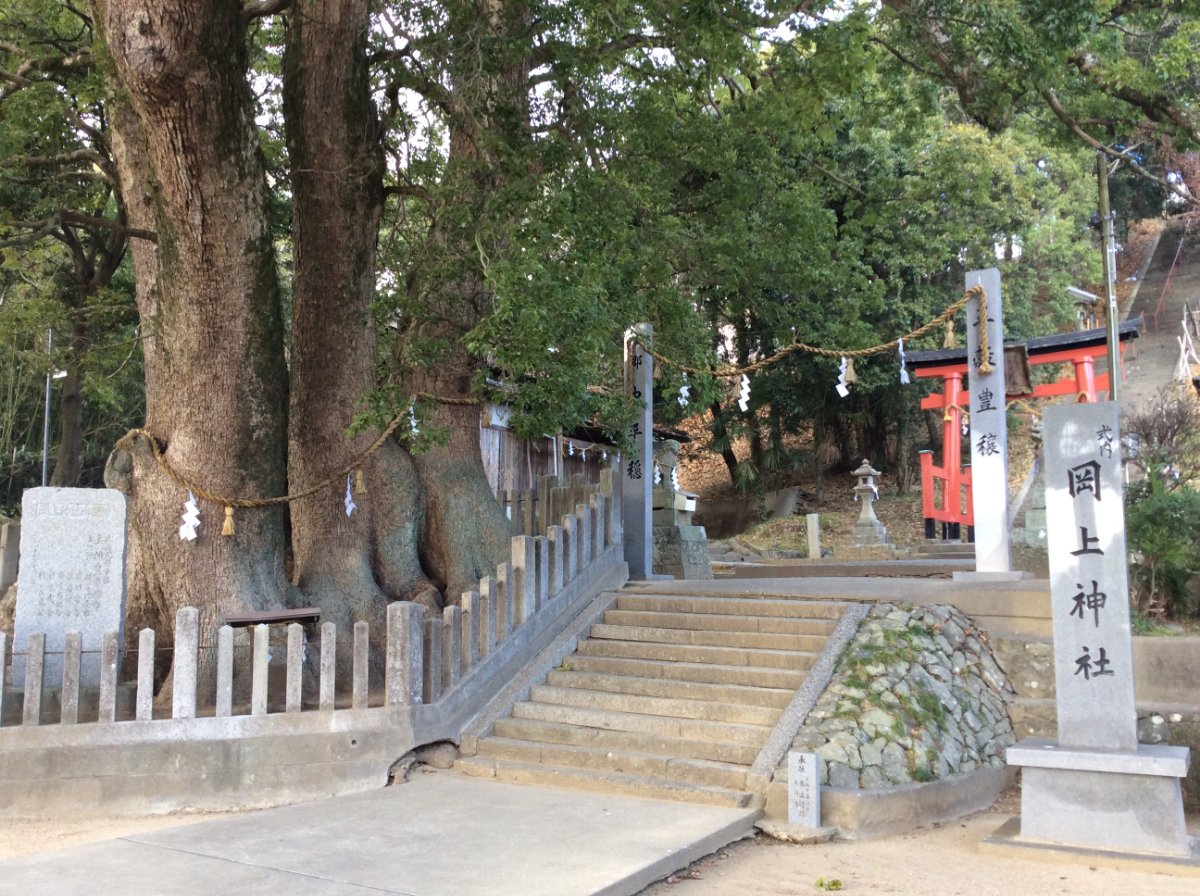 岡の宮の大クスと石段