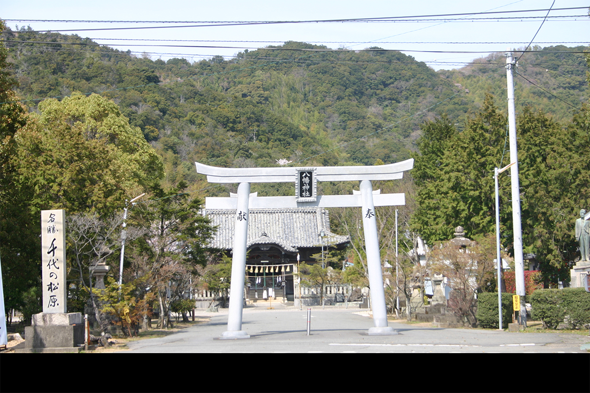 鳥居と拝殿