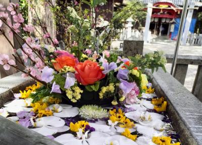 立江八幡神社 花手水と社殿