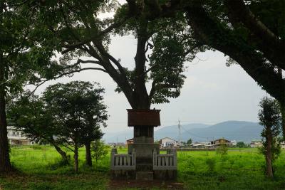 横田神社 拝殿
