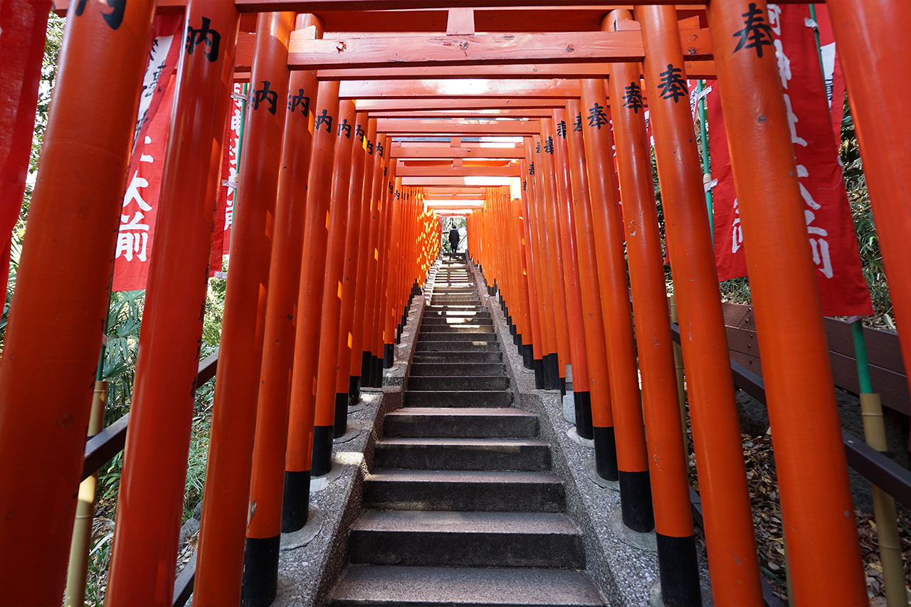 日枝神社の千本鳥居見上げた風景
