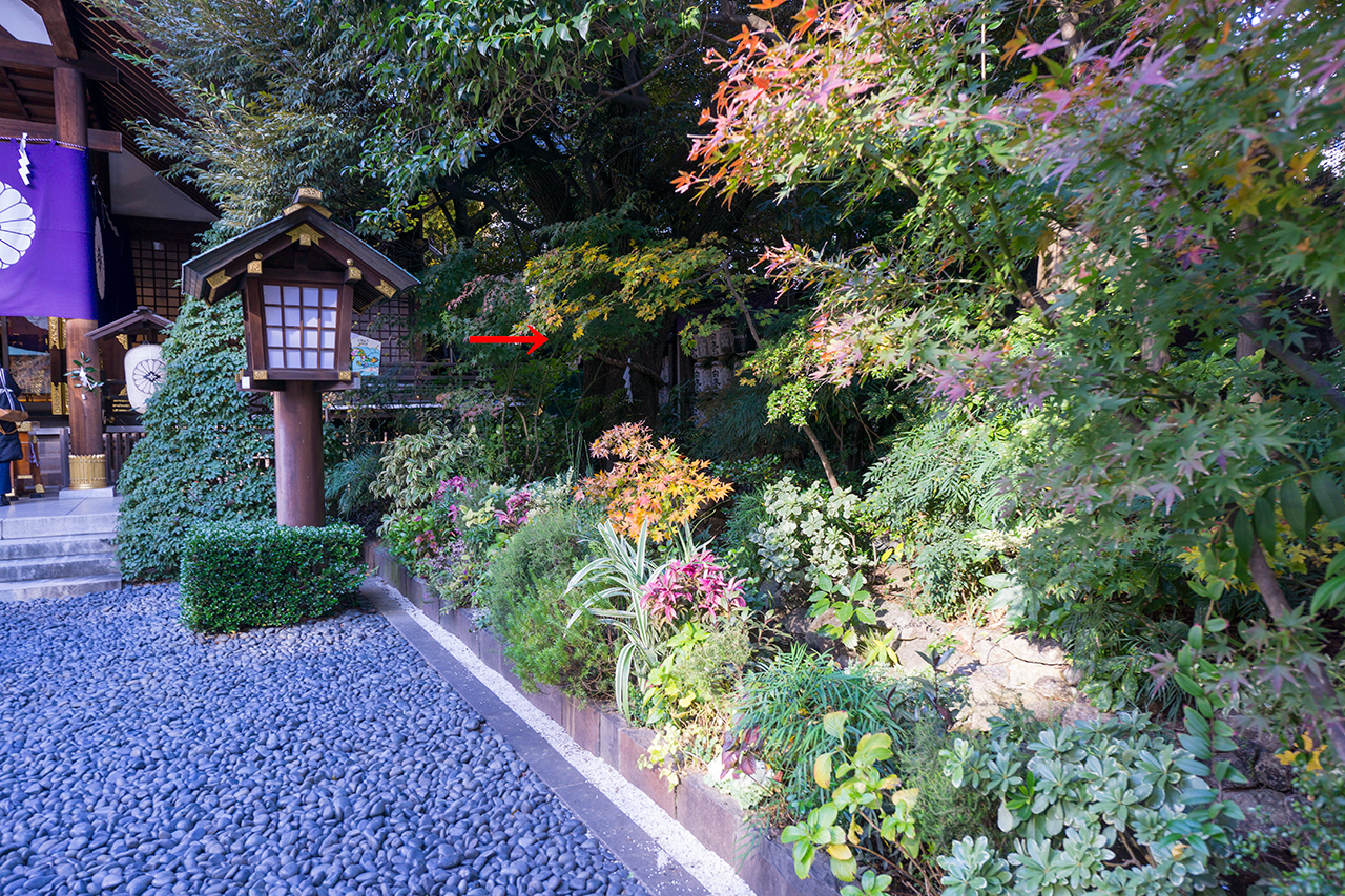 拝殿横のご神木の場所
