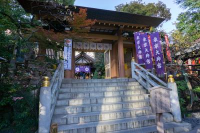 東京大神宮 石段と神門