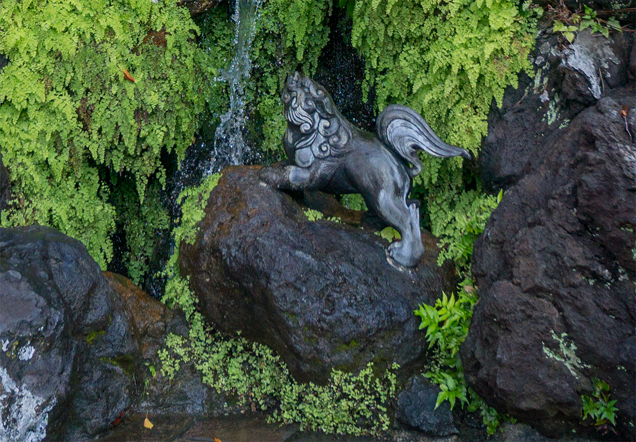 獅子山の子獅子