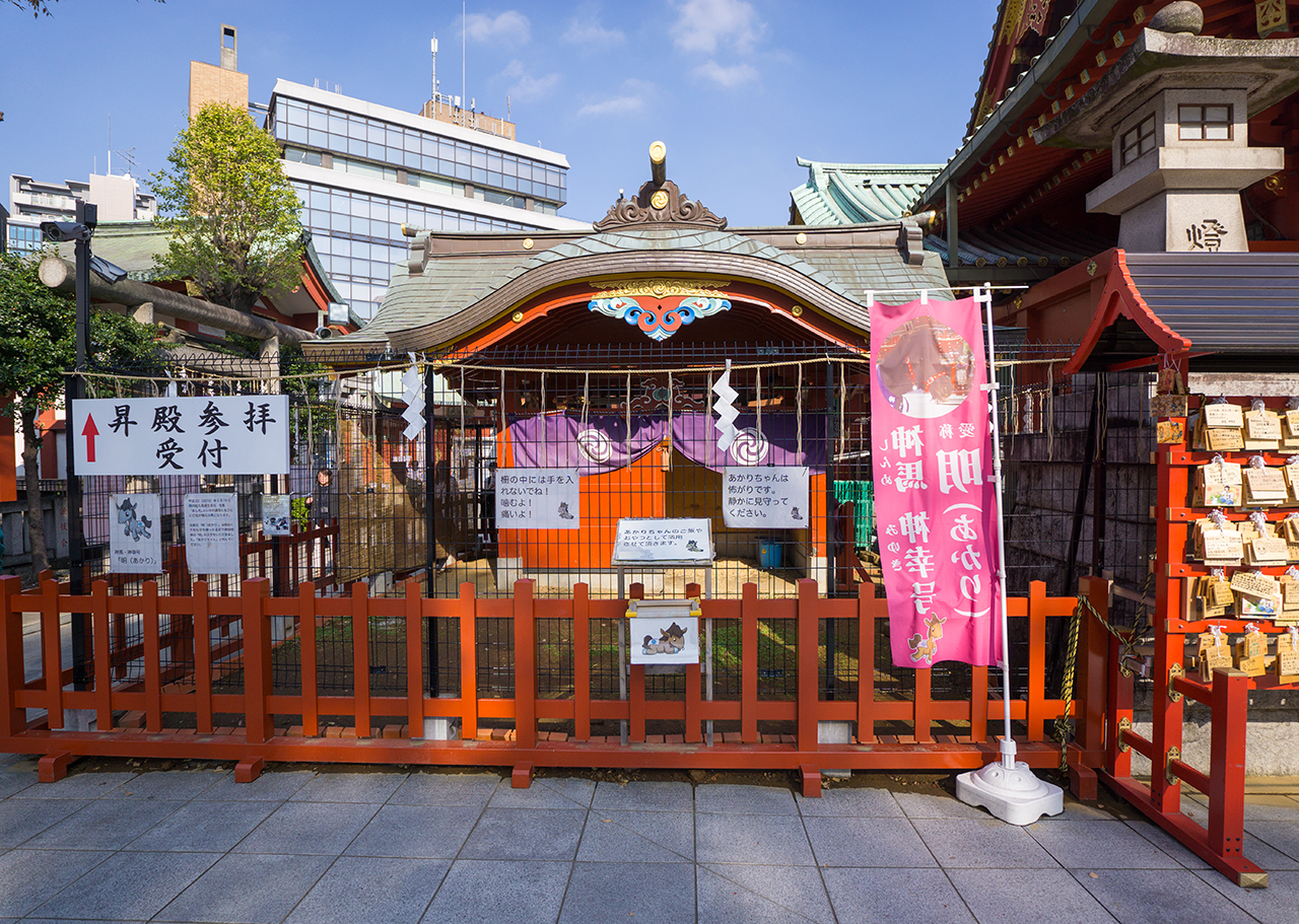 明ちゃんの馬舎