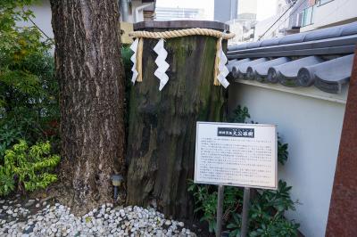 神田明神 大公孫樹 初代