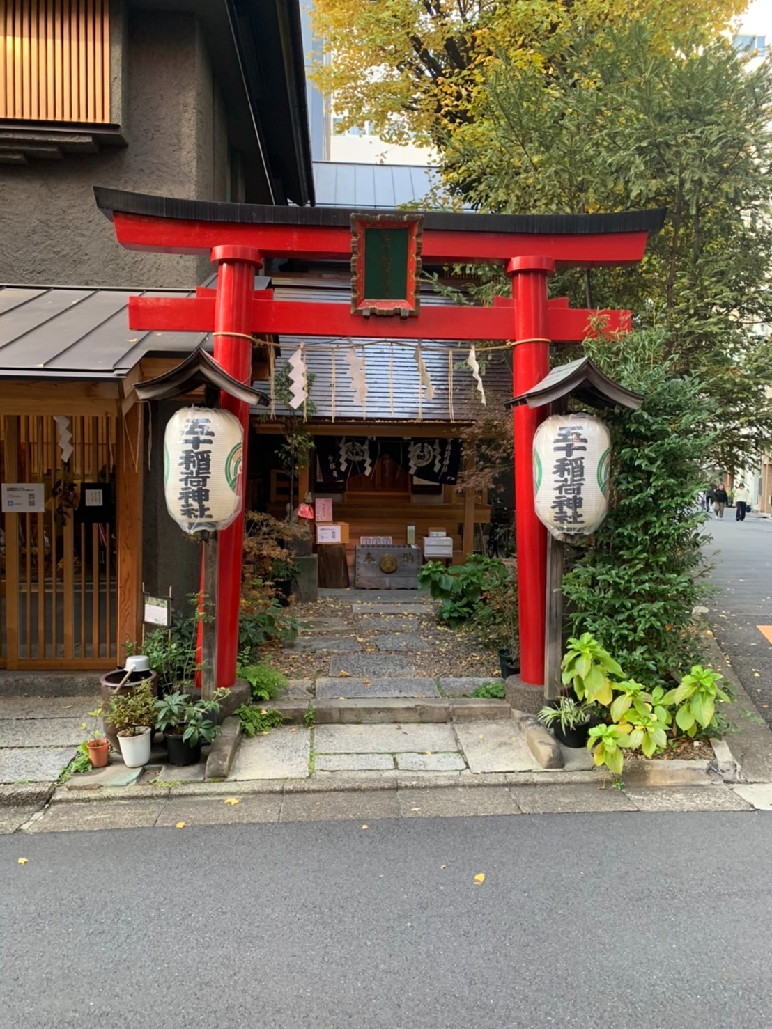 鳥居と拝殿