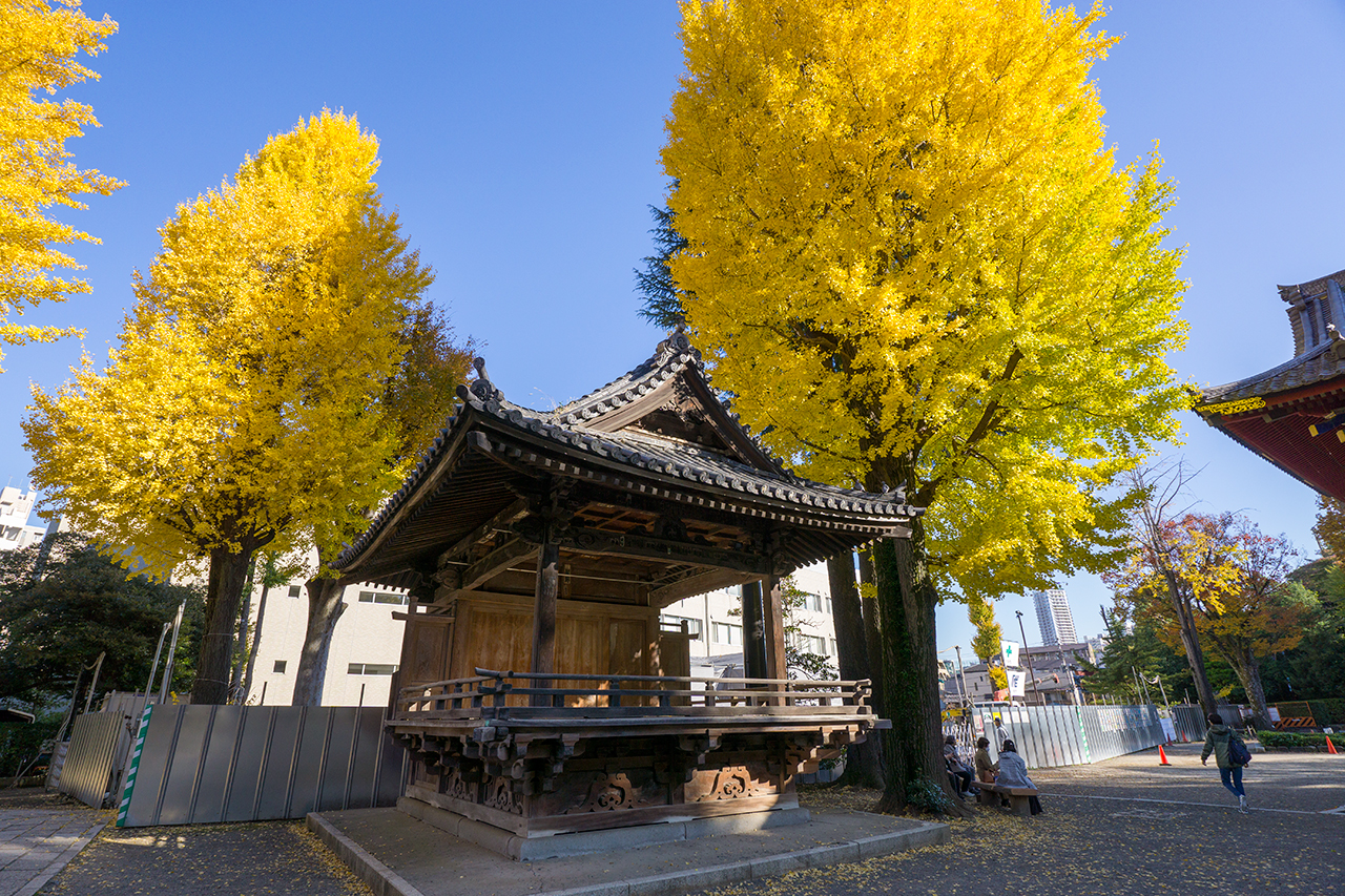 神楽殿 斜めから