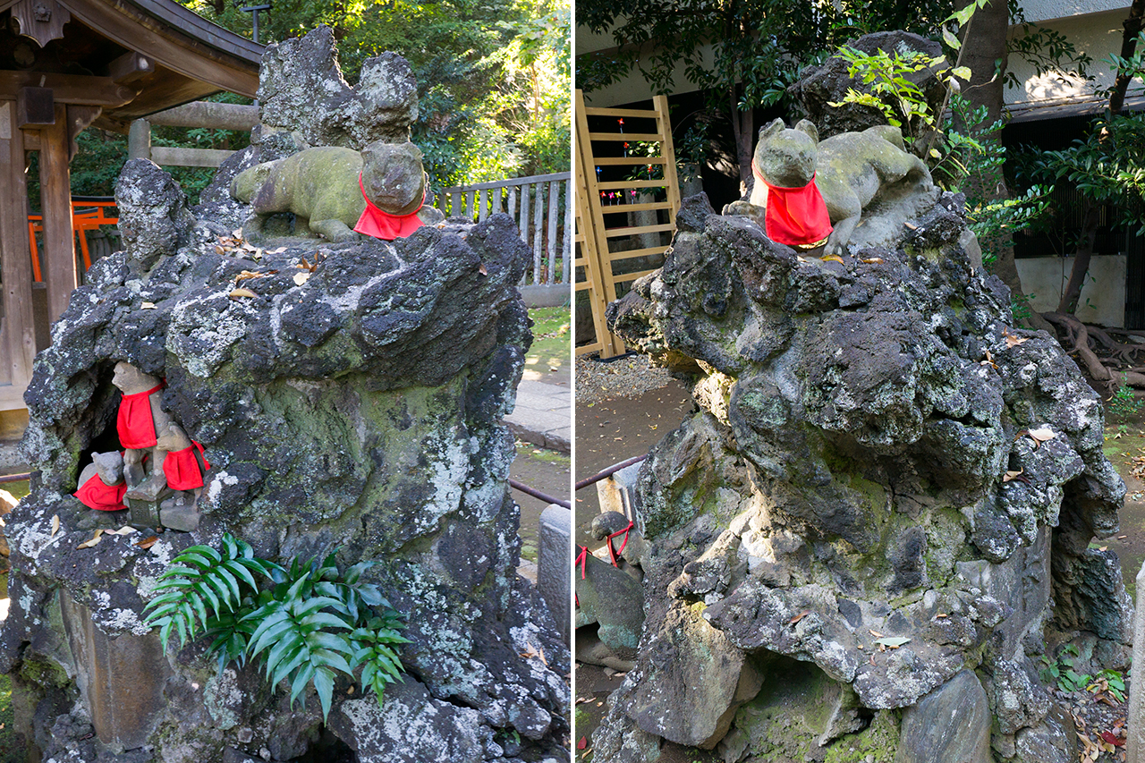 駒込稲荷神社 狛狐の山
