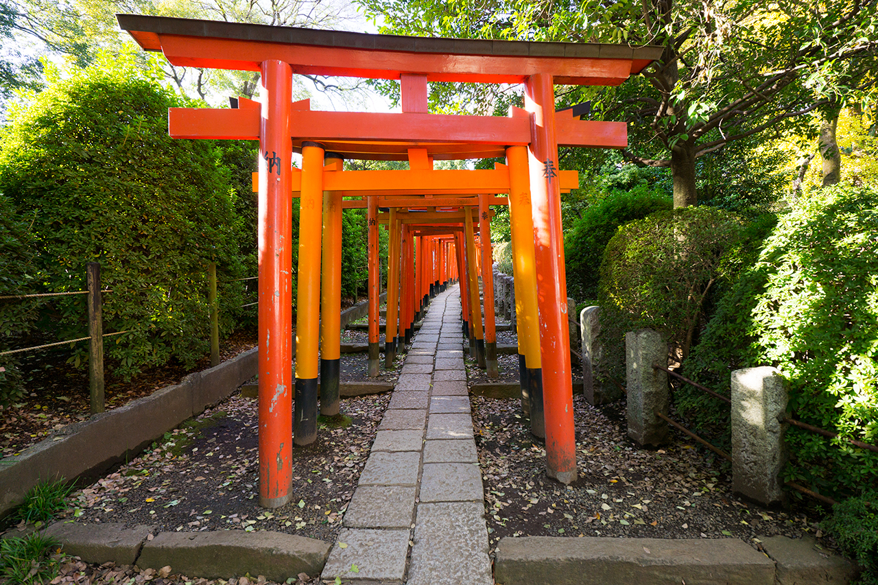 千本鳥居アップ