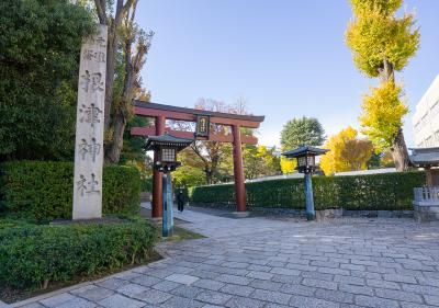 根津神社 社号碑と鳥居