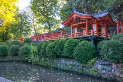 根津神社 千本鳥居と乙女稲荷神社 社殿 