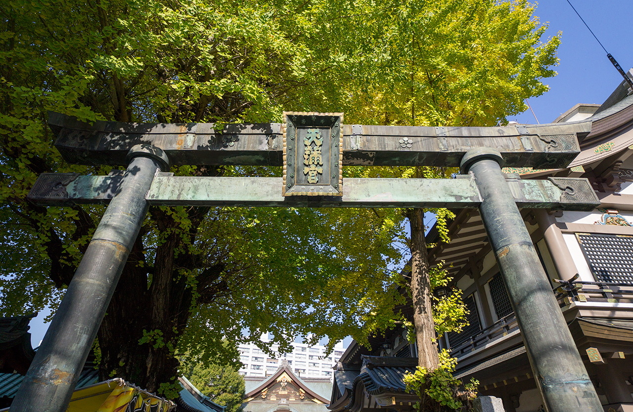 見上げた銅鳥居