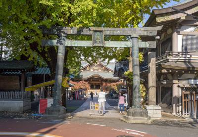 湯島天満宮 銅鳥居 正面