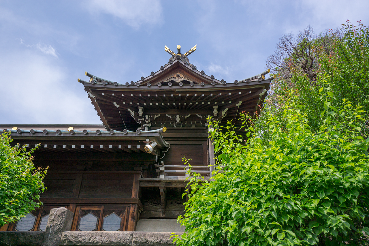 横からみた本殿