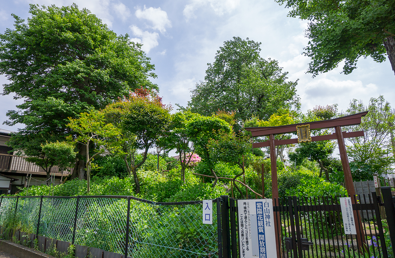 富士塚・浅間神社 入口