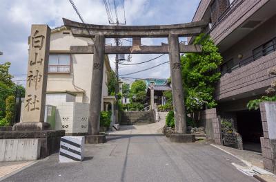 白山神社 鳥居と社号碑