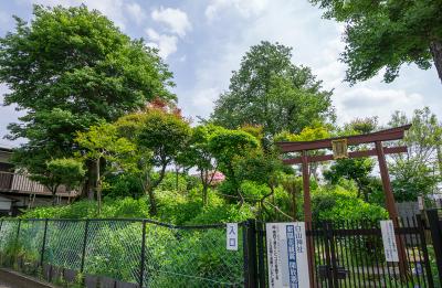 白山神社 富士塚・浅間神社 入口
