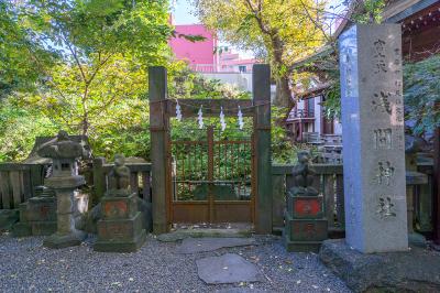 小野照崎神社 富士塚 浅間神社の社号標と門