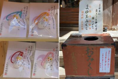小野照崎神社 幸せみくじとまゆ玉みくじ