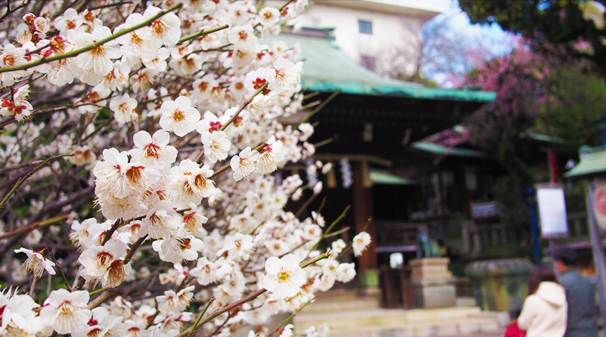 蓮の花の形の水鉢
