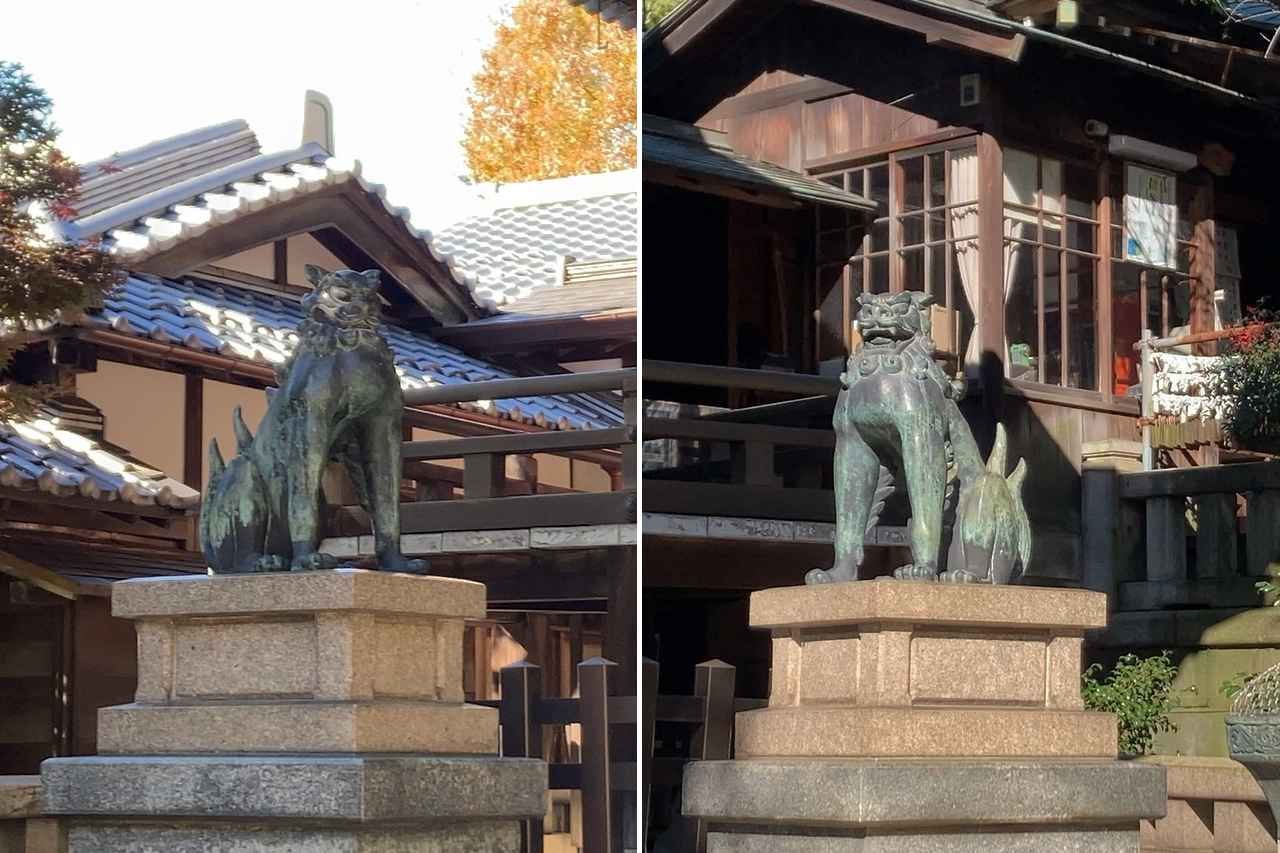 鳥居近くの狛犬