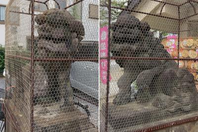 今戸神社 今戸焼職人に奉納された狛犬