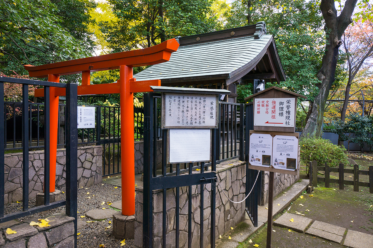 栄誉権現社 鳥居と社殿