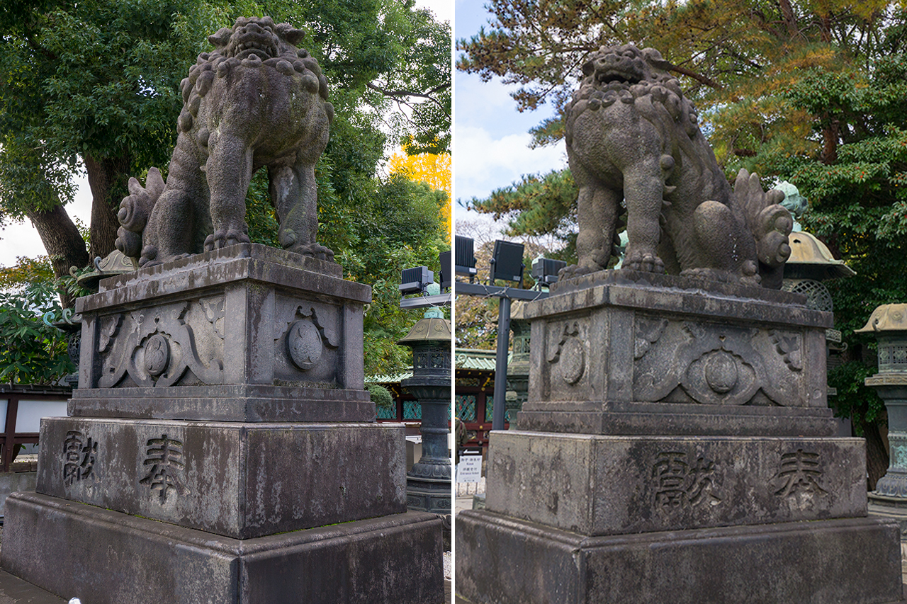 参道の狛犬